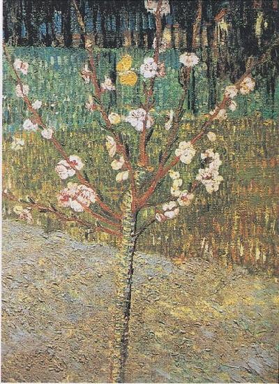 Vincent Van Gogh Flowering almond tree china oil painting image
